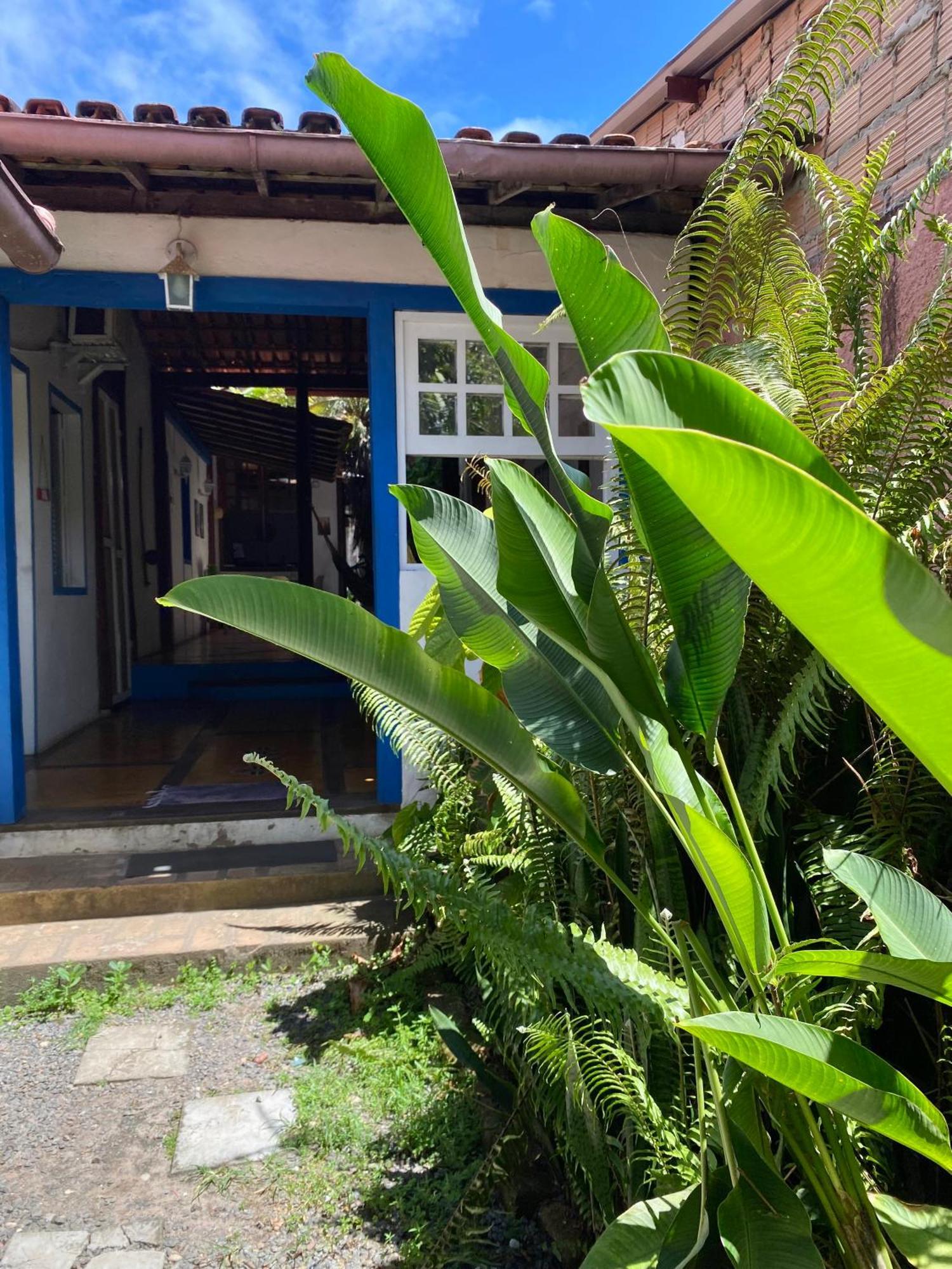 Tropicalia Hostel E Pousada Itacaré Eksteriør billede